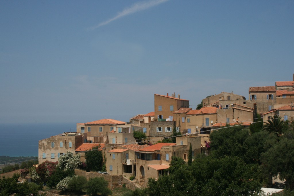 Pigna